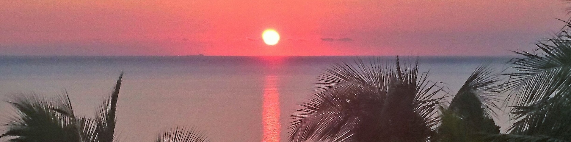 A sunset over a calm sea with palm trees silhouetted against the sky.