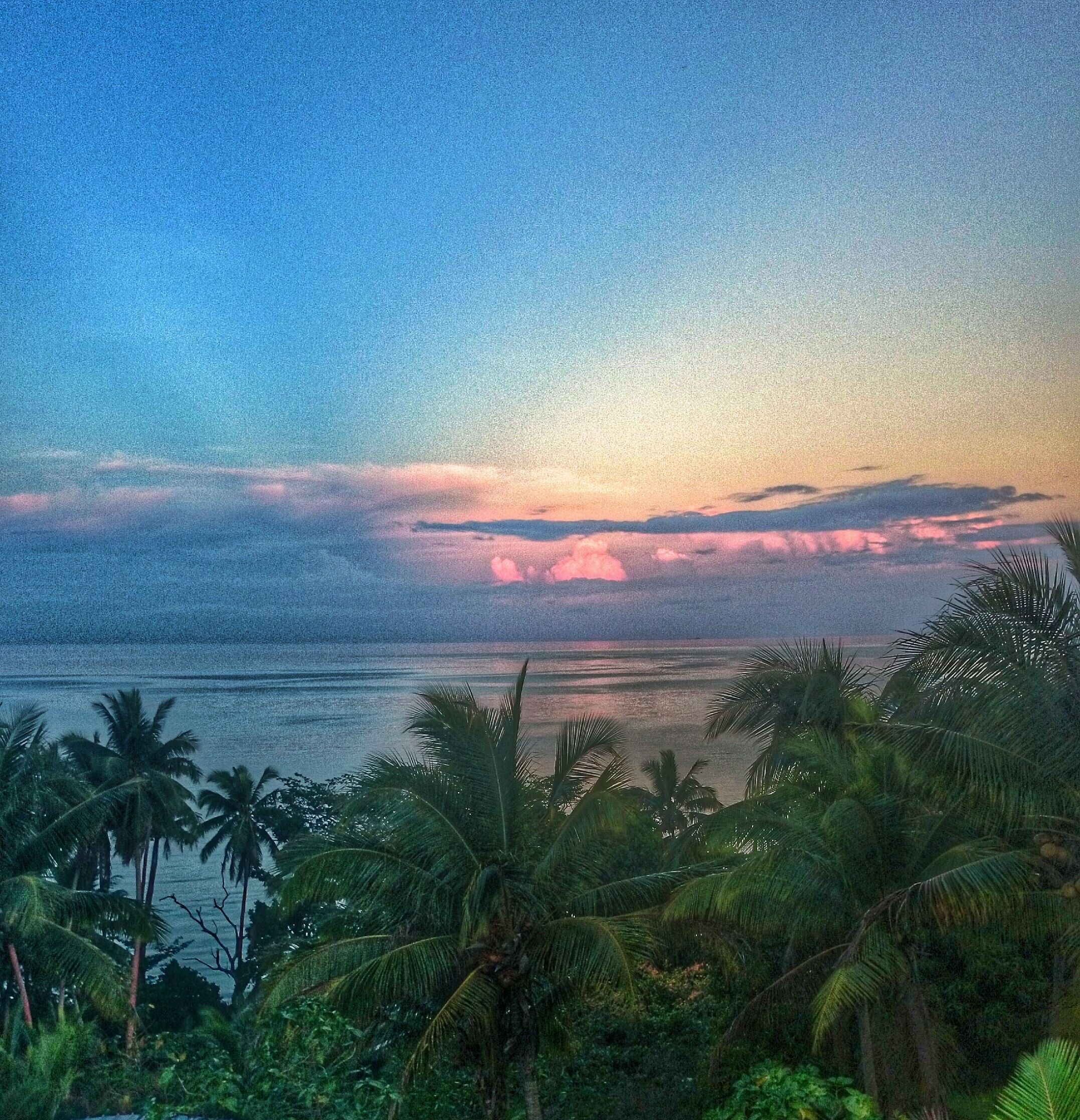 Taken facing east from the deck at the lower mango tree dorm at Safari. The sun sets on the other side of the island, but if you don't feel like walking over the reflection is pretty beautiful too. 