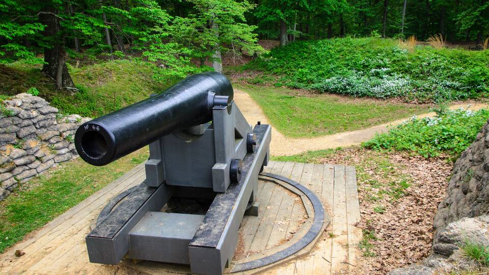 A historical cannon on a wooden platform in a forested area.