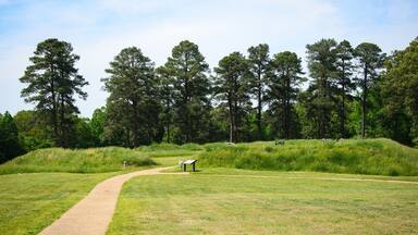 Petersburg National Battlefield