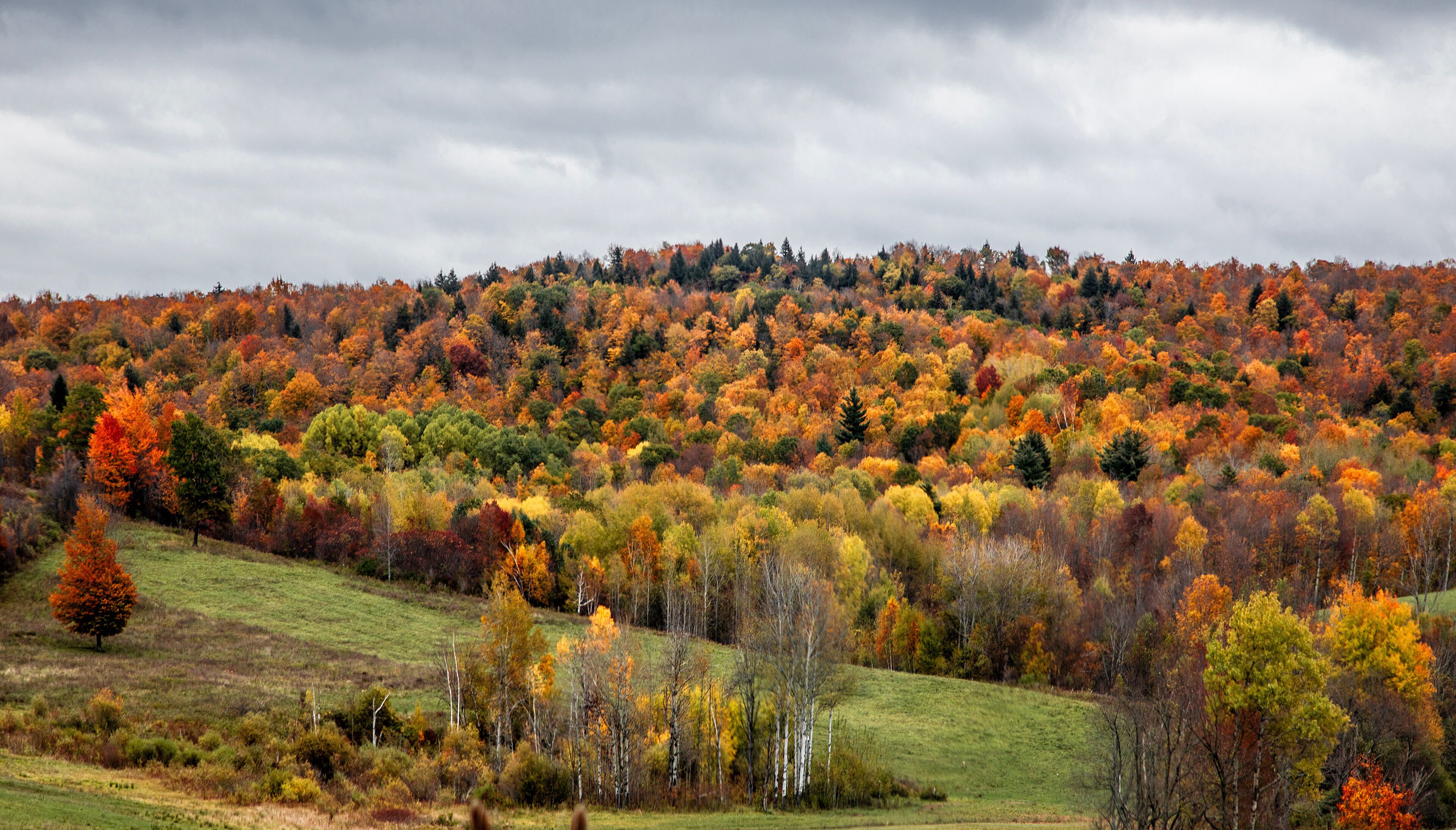 <h2>适合家庭的最佳住宿</h2>