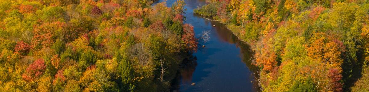 Oswegatche River Adirondak Park Panoramic Aerial View Autumn Season
