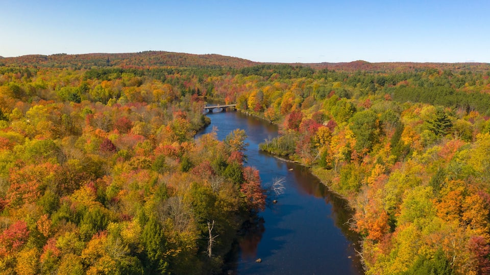 A river with a bridge, surrounded by autumn-colored trees.