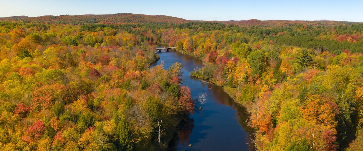 A river with a bridge, surrounded by autumn-colored trees.