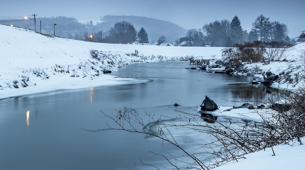 Une riviĂšre enneigĂ©e, sinueuse, bordĂ©e dâarbres et dominĂ©e par une chaĂźne de montagnes lointaine.