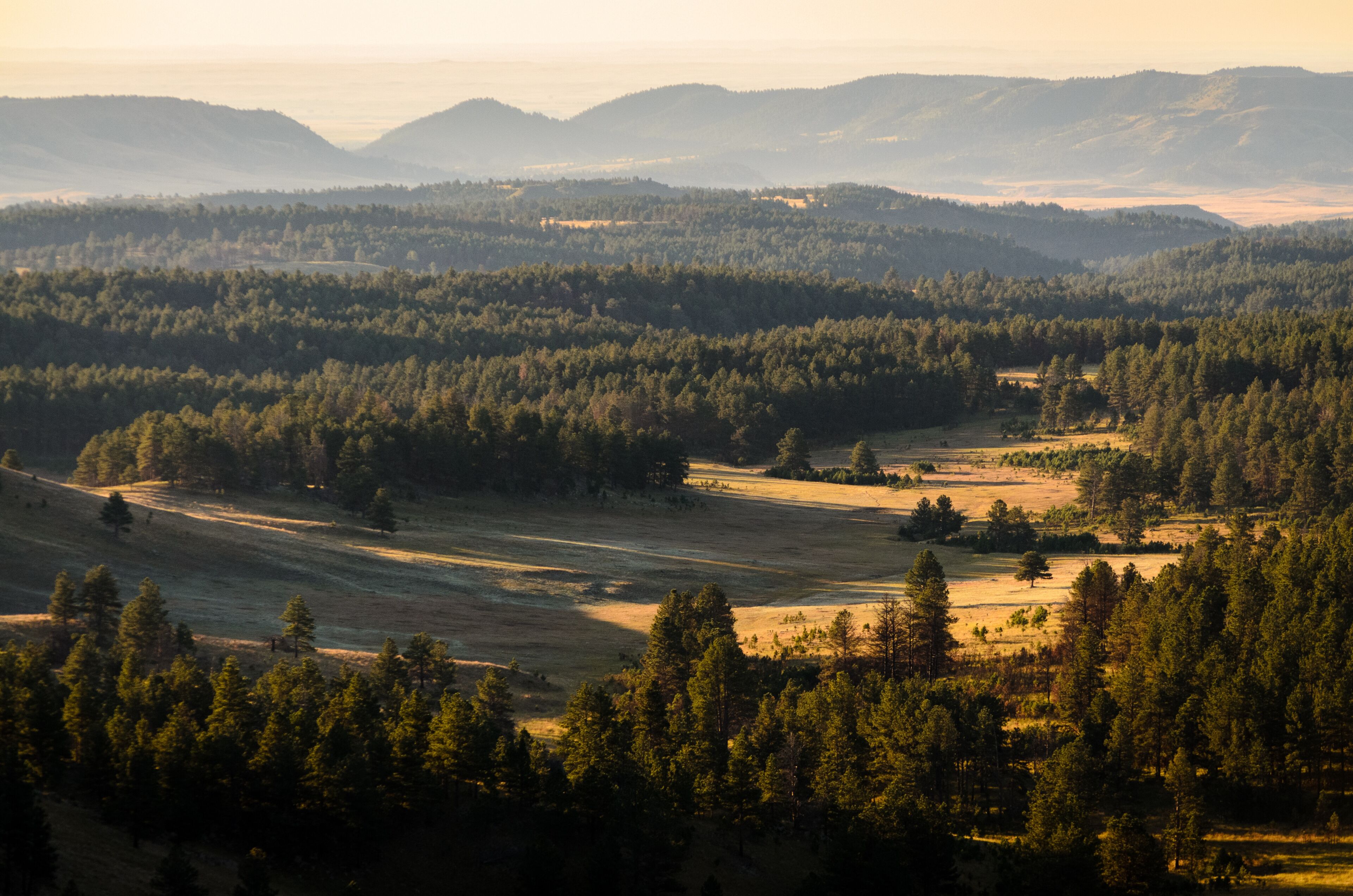 Wind Cave National Park