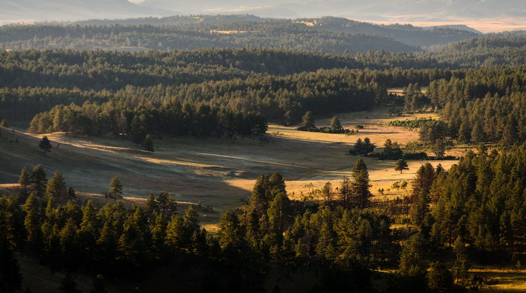 Wind Cave National Park