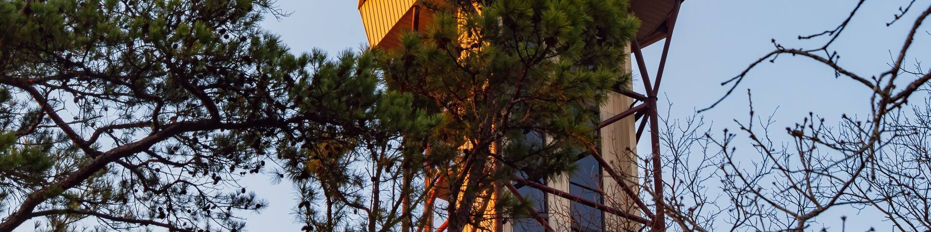 Sunny view of the Hot Springs Mountain Tower
