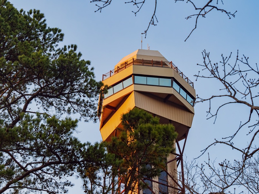 Sunny view of the Hot Springs Mountain Tower