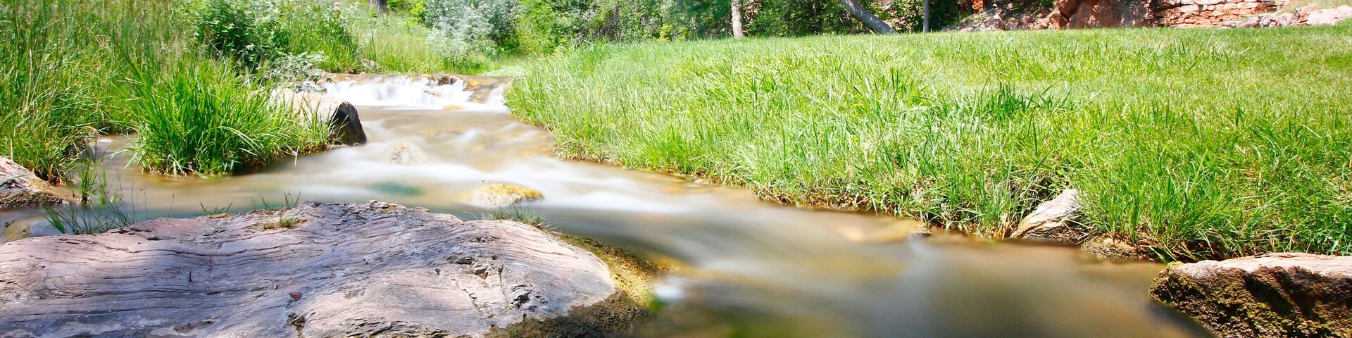 Un arroyo serpenteante, césped verde y árboles en un paisaje natural.
