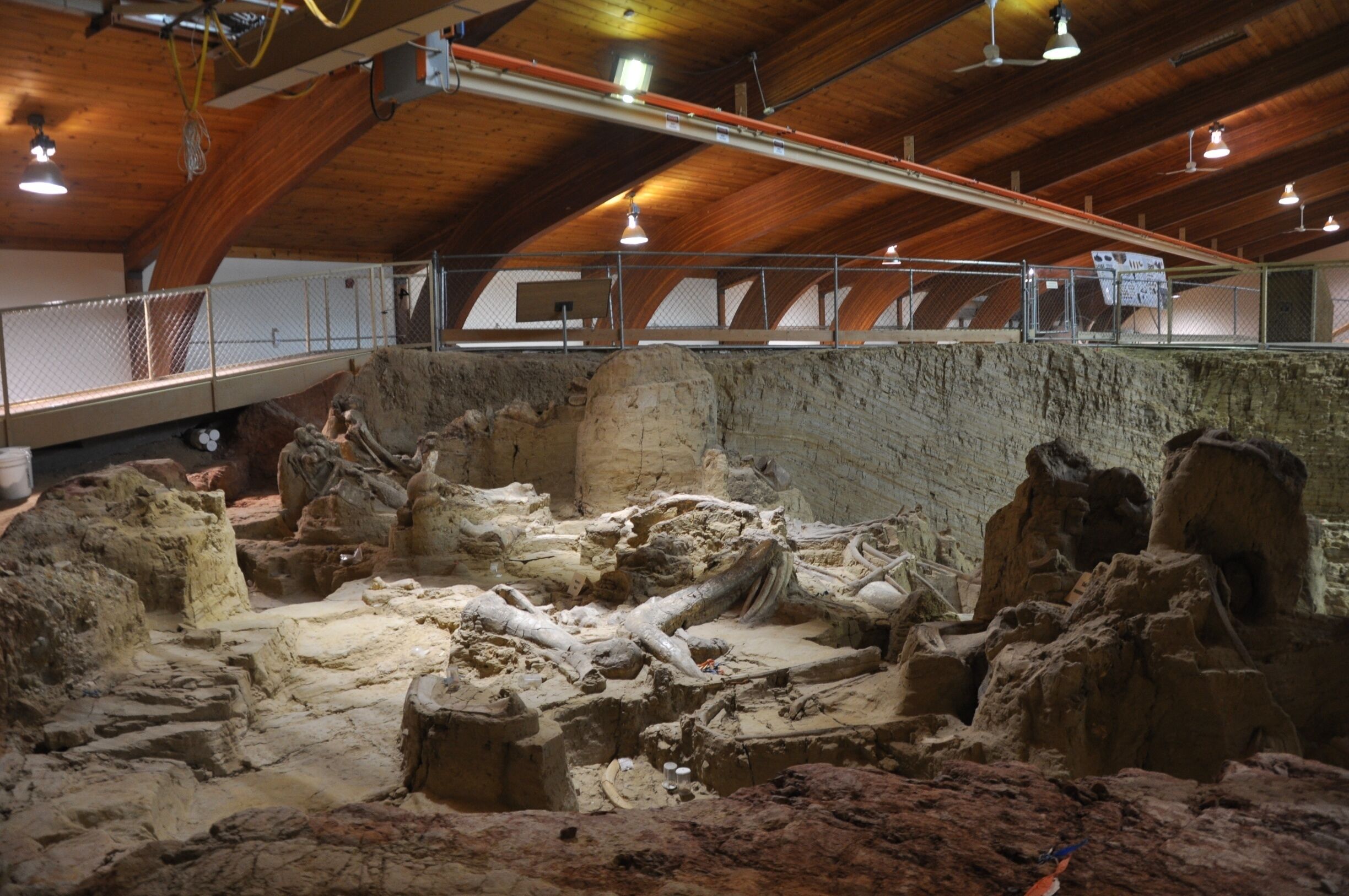 Stopping in Hot Springs, SD, we were happy to find this fascinating, active archeological site! 

In the 70's, this sink hole was uncovered during a construction project. Realizing the value of the discovery, the construction company stopped work and preserved the site. 

To date, 61 mammoths have been uncovered, along with other animals including a short-nosed bear!