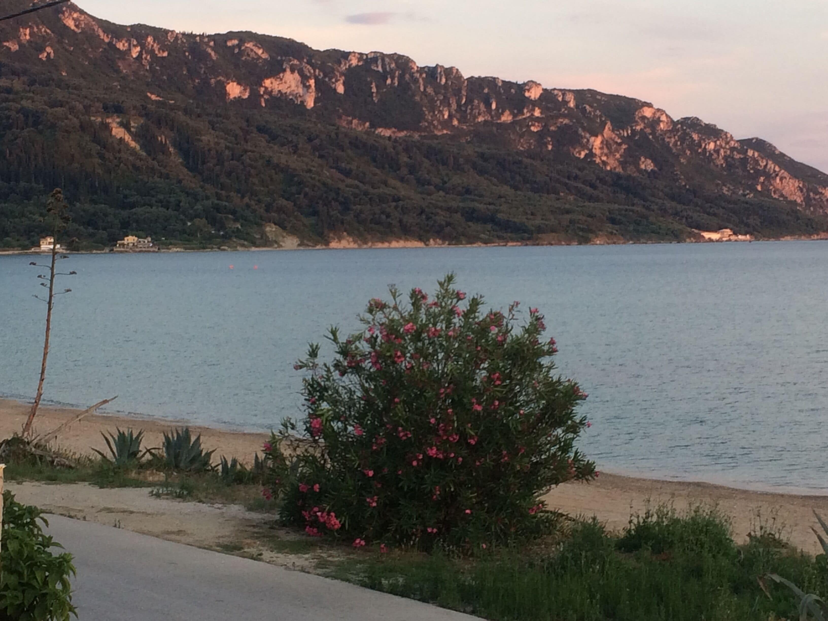 Aghios georgios north