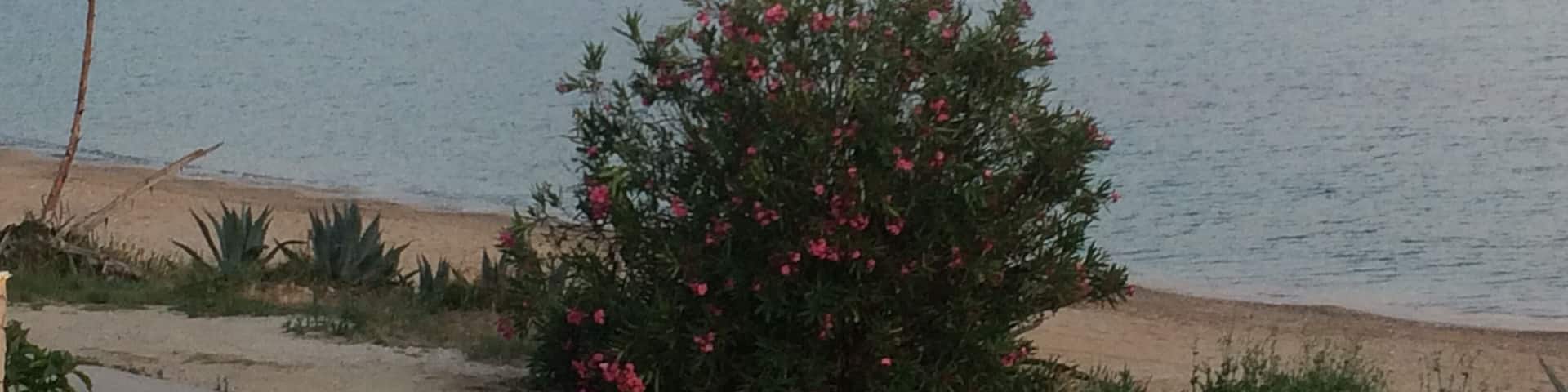 Aghios georgios north