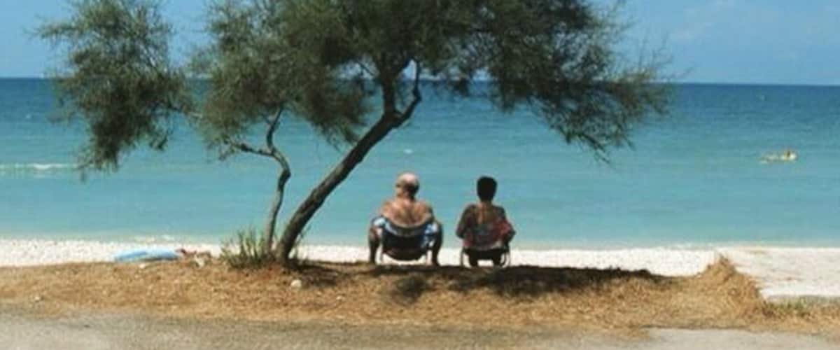 Two people sitting under a tree by the beach.
