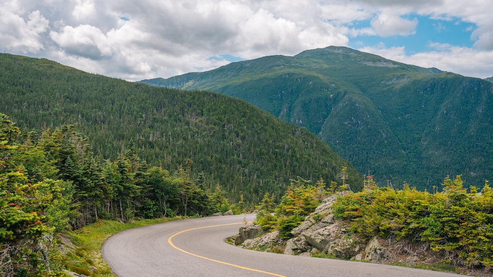A winding mountain road surrounded by dense forests and rugged mountains.