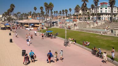 Huntington Beach showing street scenes, a city and tropical scenes