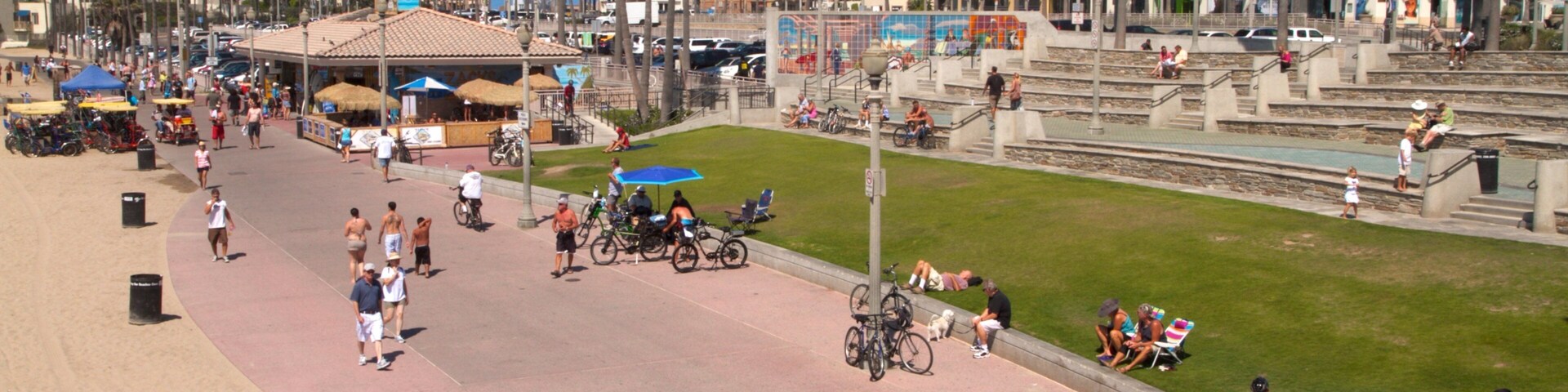 Huntington Beach showing tropical scenes, street scenes and a city