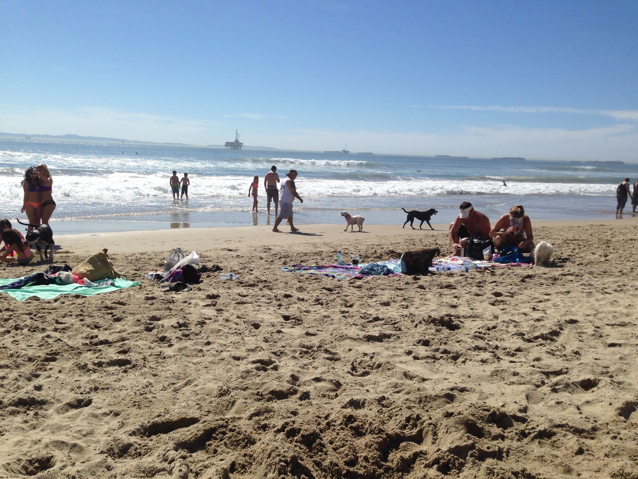 Had a amazing time with my dogs.