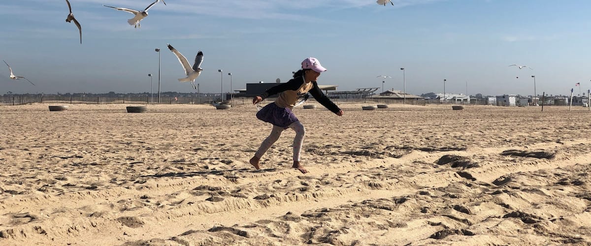 Being attacked by birds