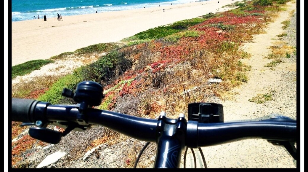 Along the bike trail just north of Seapointe lies the quintessential California scene.
