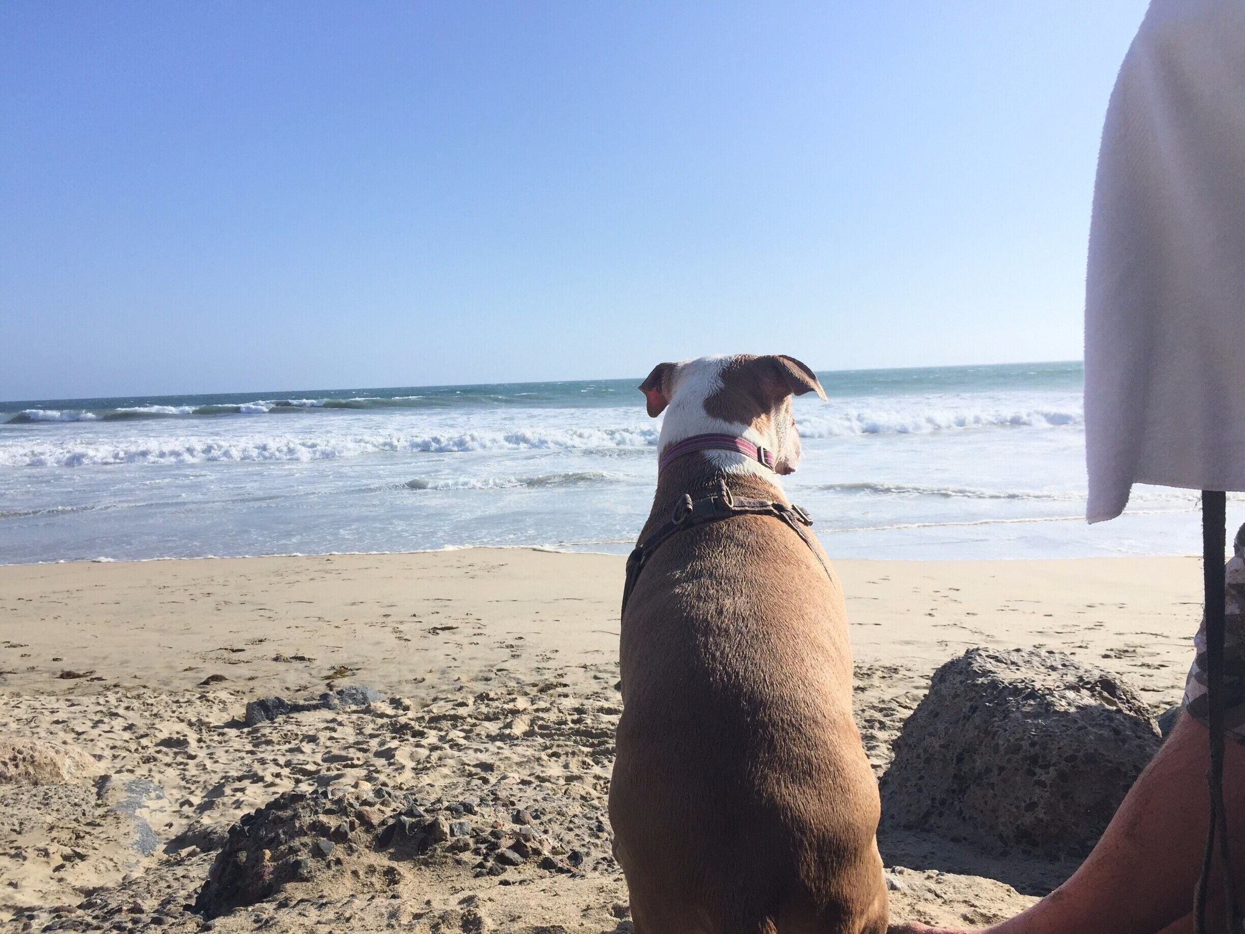 Sometimes you look back at moments and wonder why you didn't appreciate them for what they were. 

