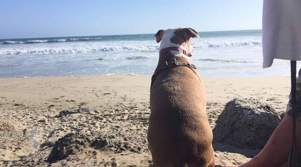 Sometimes you look back at moments and wonder why you didn't appreciate them for what they were.