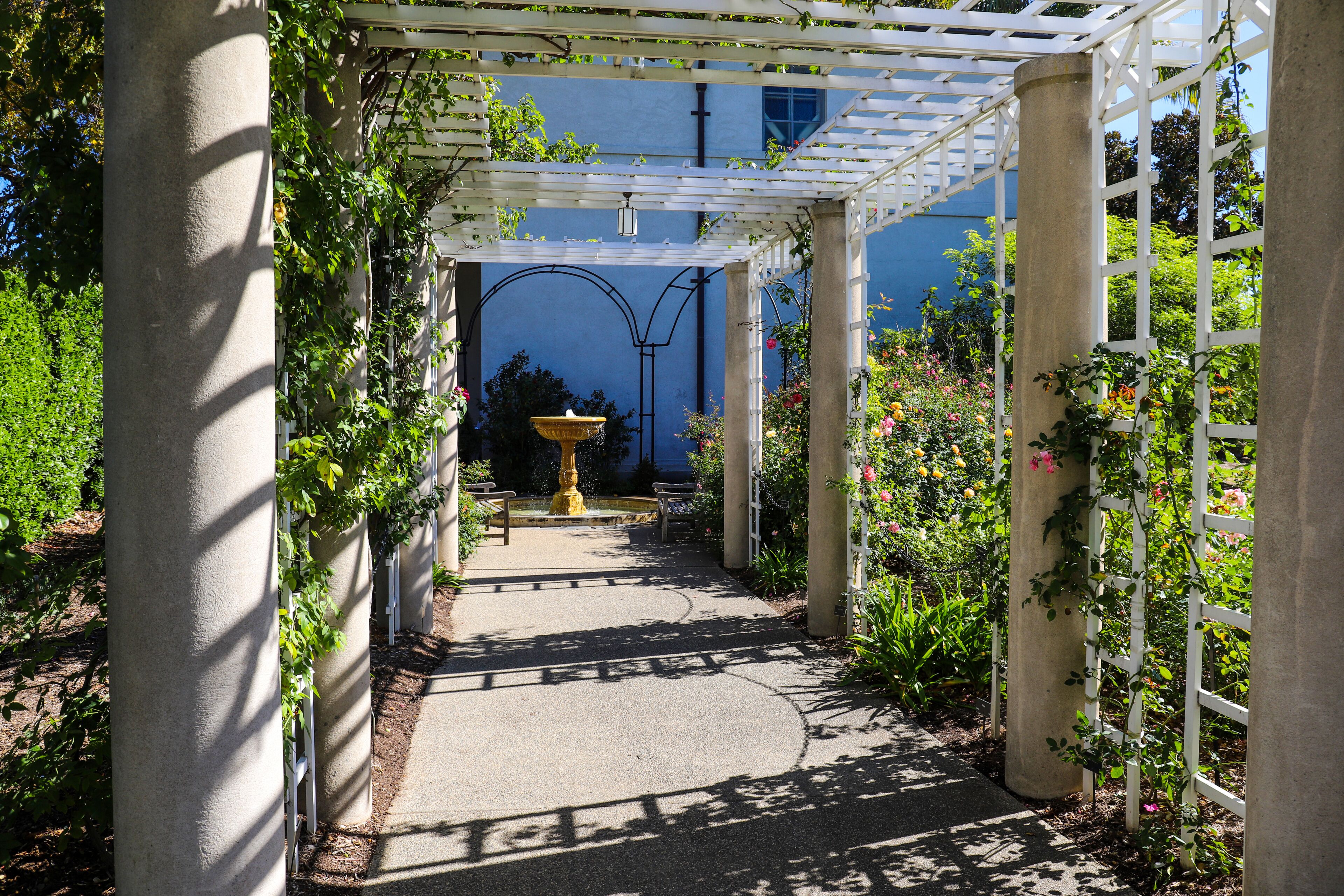 a white wooden awning in the garden covered with lush green plants and colorful flowers with stone pillars and a water fountain at the end of the walk way at Huntington Library and Botanical Garden
