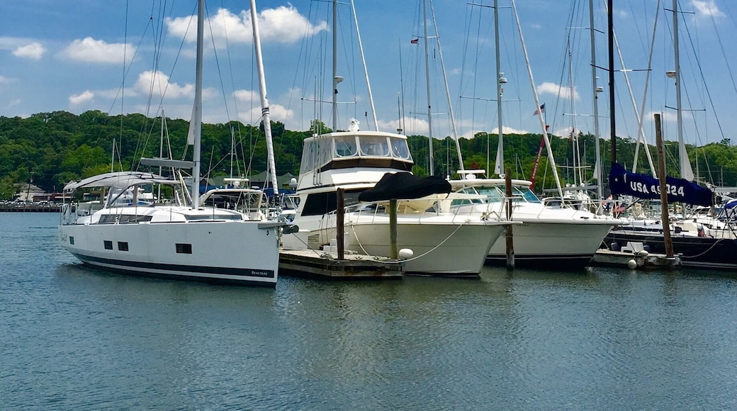 This is a place I like the most in summer