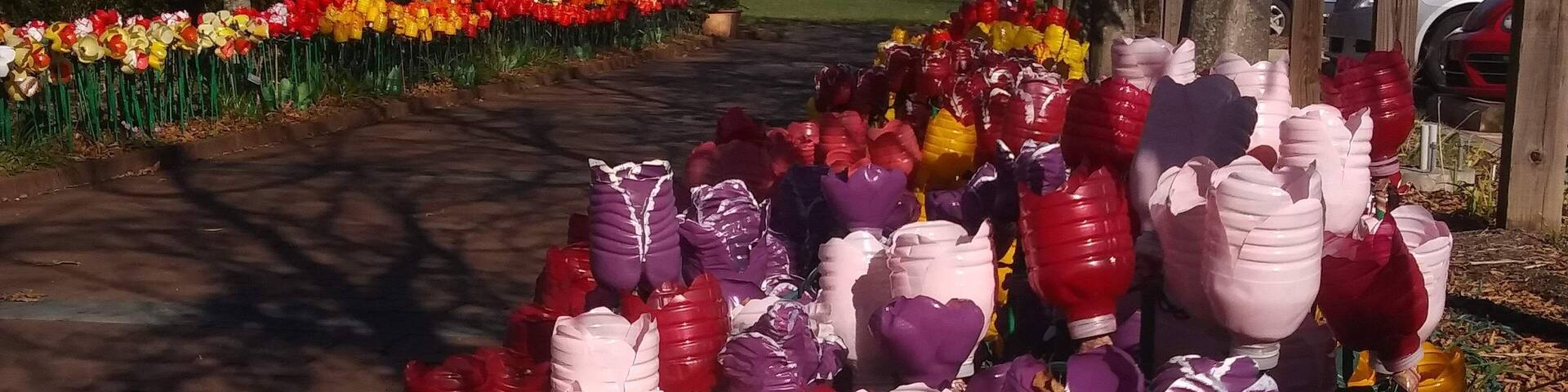 Volunteers have created a massive lighted tulip garden from used water botels. Lit at night.