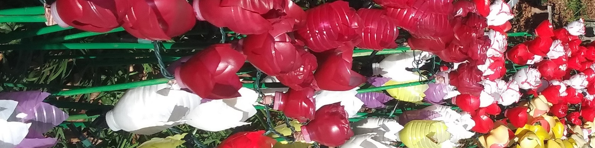 Another view of the holiday lighted tuips, made from water bottles.