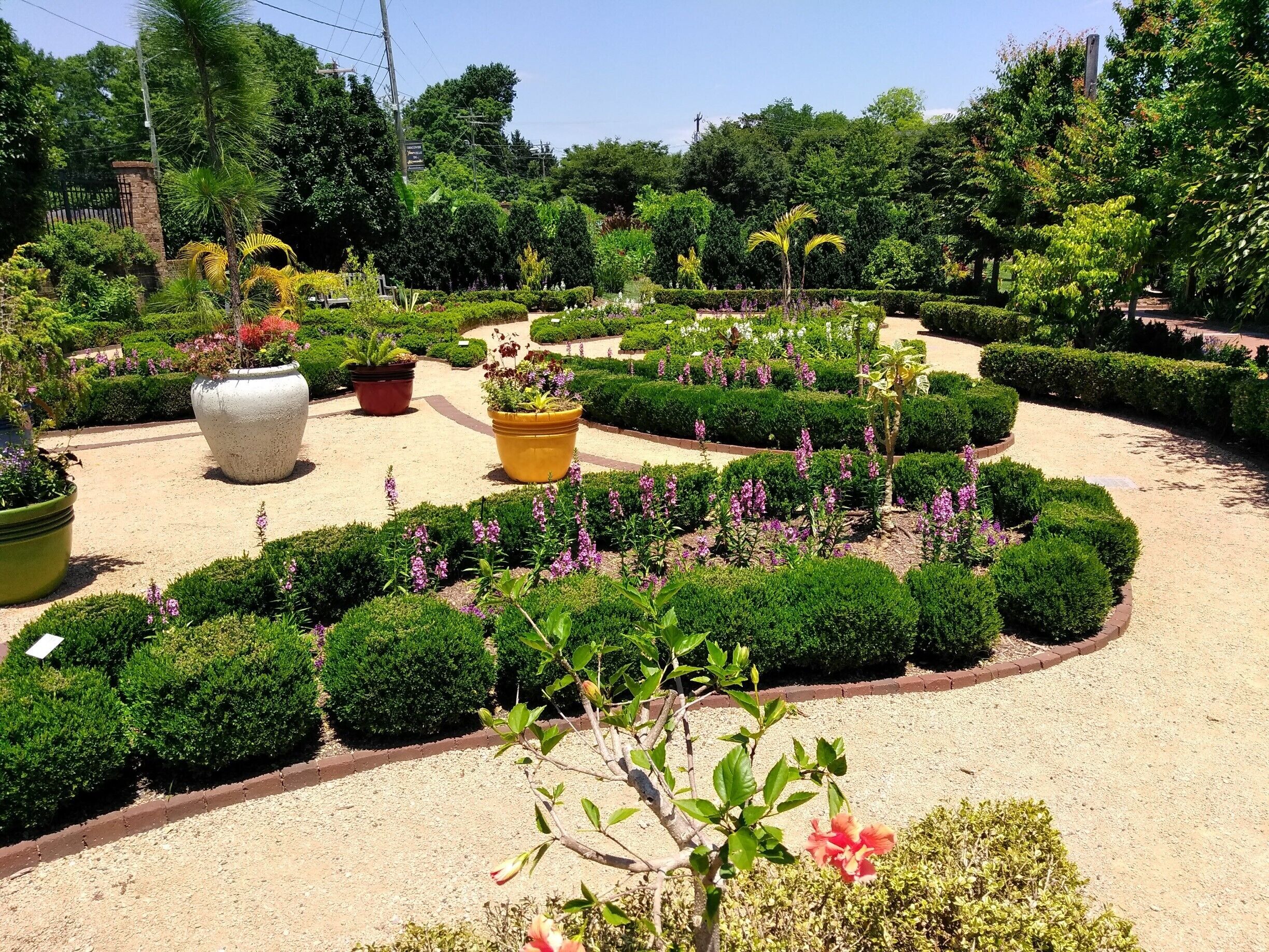 Summer splendor in a little known gem in the heart of the Triad.