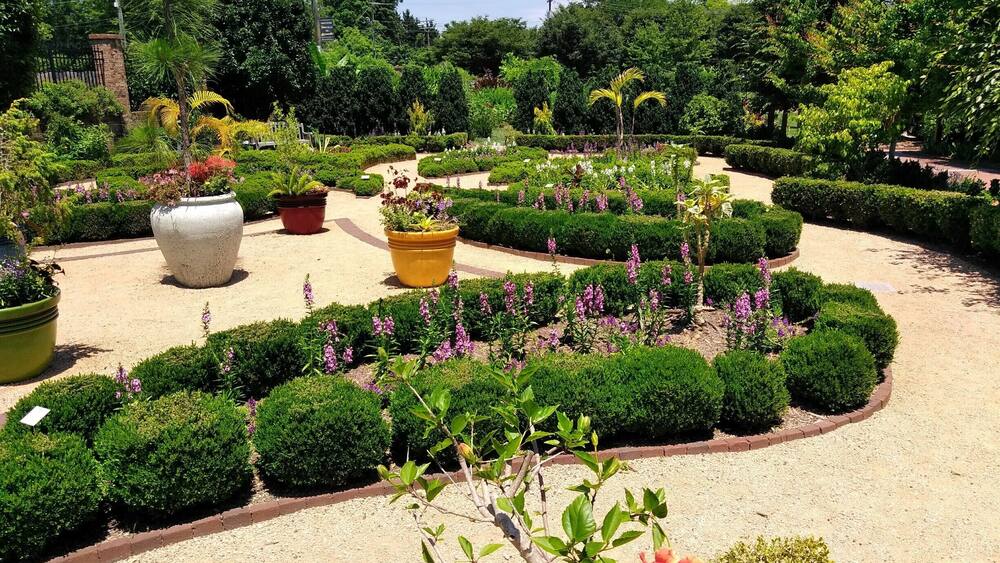 Summer splendor in a little known gem in the heart of the Triad.