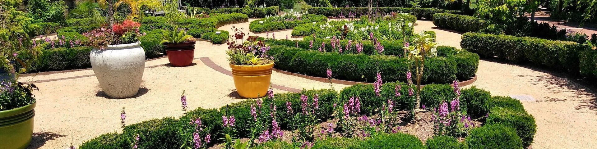 Summer splendor in a little known gem in the heart of the Triad.