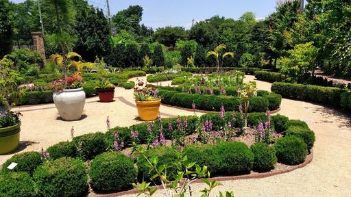 Summer splendor in a little known gem in the heart of the Triad.