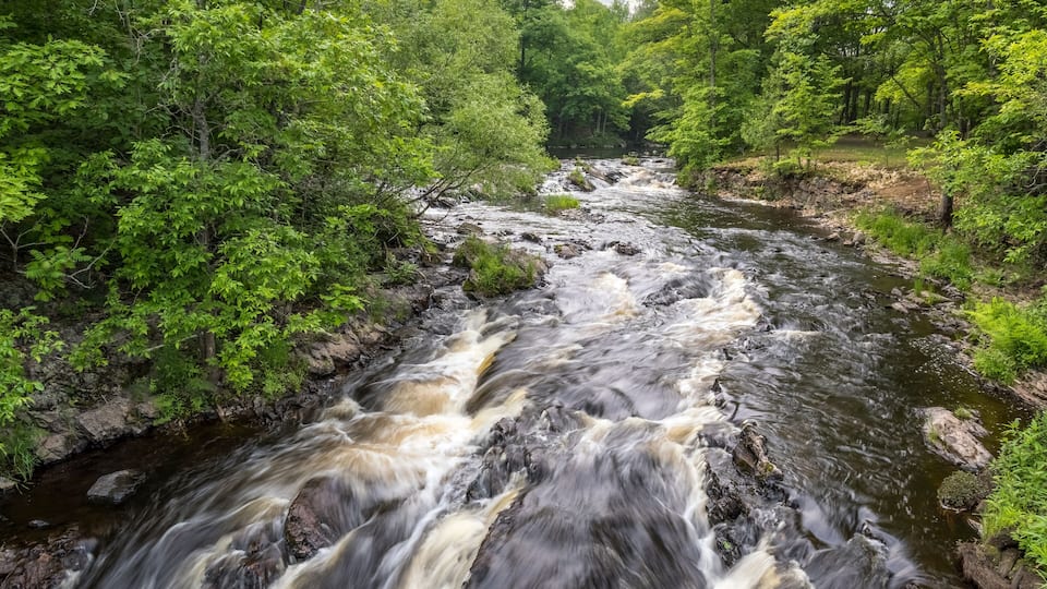 A fast-flowing river surrounded by dense green foliage.