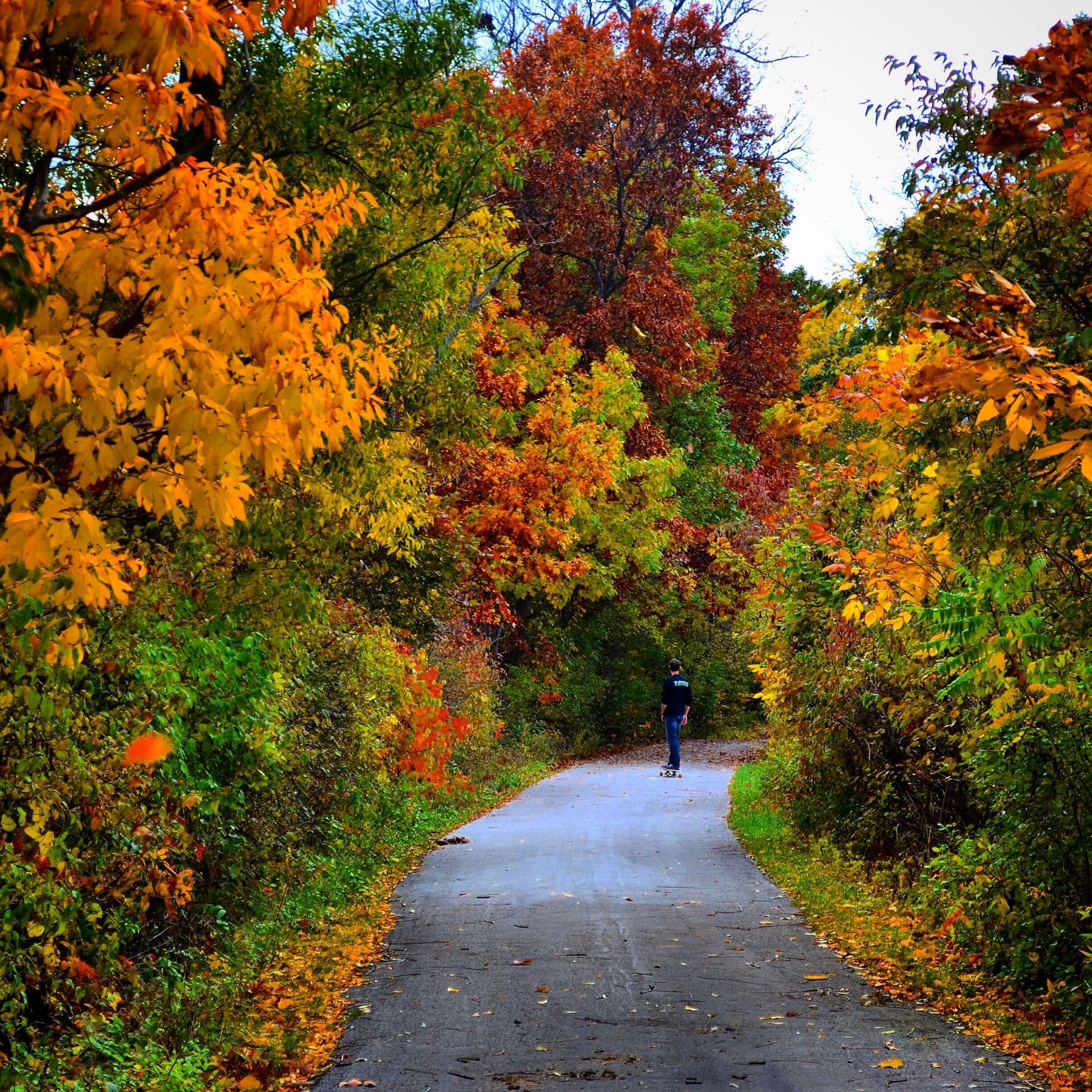 Wonderful marsh area with a paved trail, perfect for scoping fall colors. #WeekendGetaway #Colorful 