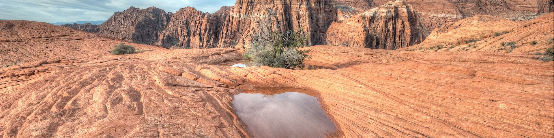 Paisaje desértico con formaciones rocosas rojas y una pequeña charca.