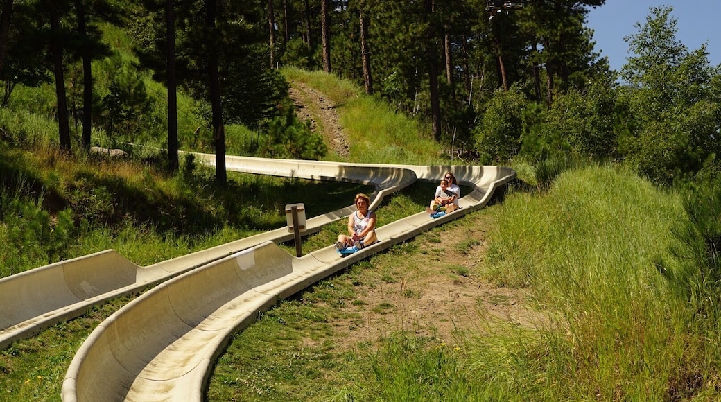 Ride the tram up and Alpine Slide down!