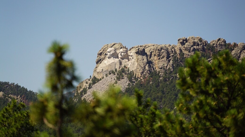Nice view atop the tram ride