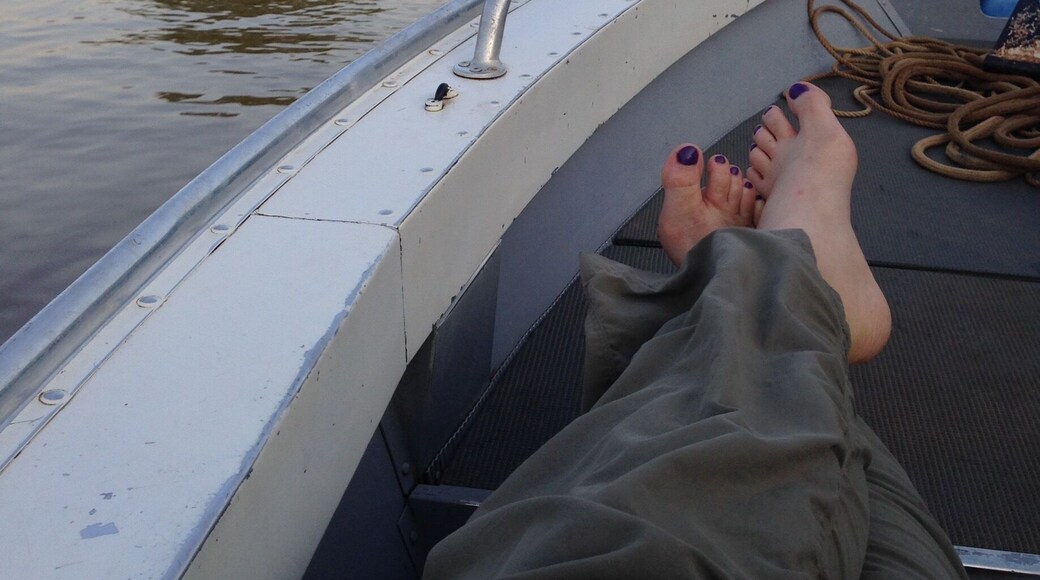 Boat tours on the river looking for jaguars in the Pantanal of Brazil