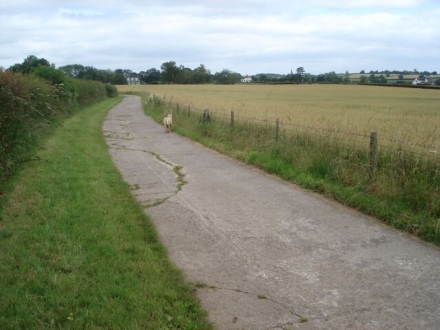 Farm track near Upper House Farm The field on the right is an oat crop which seems to be organic because there are no tell-tale sprayer tracks in the field. Wolferlow church spire is just visible on the horizon.