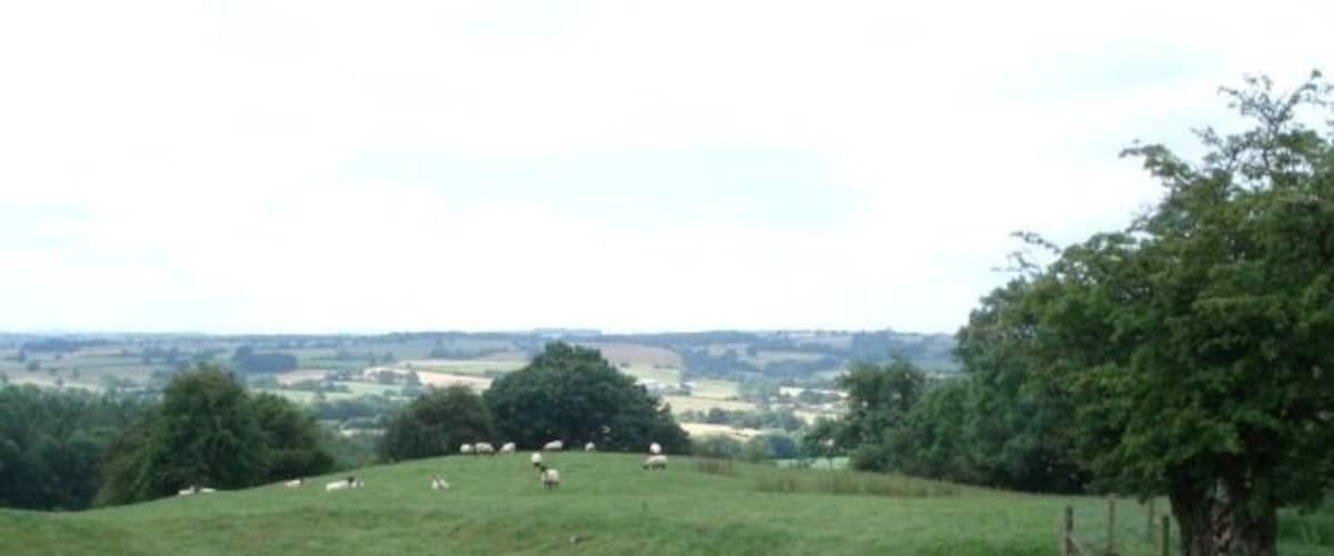Sheep pasture on Upper House Farm View south-west from the path junction on the top of the hill.