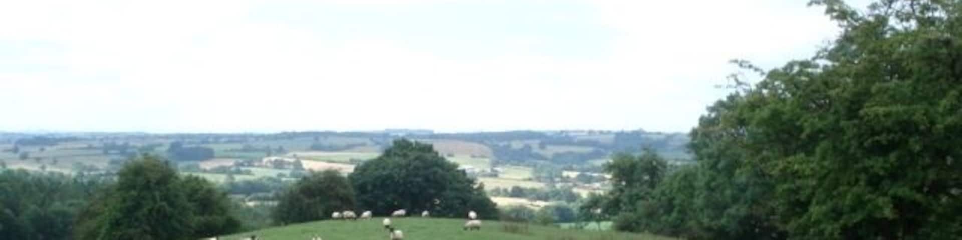 Sheep pasture on Upper House Farm View south-west from the path junction on the top of the hill.