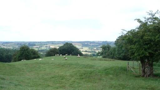 Sheep pasture on Upper House Farm View south-west from the path junction on the top of the hill.