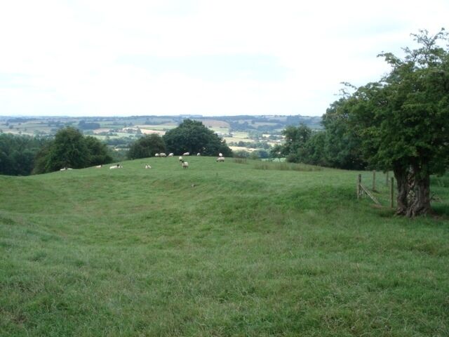 A grassy hill with sheep grazing, trees, and a distant view of fields.