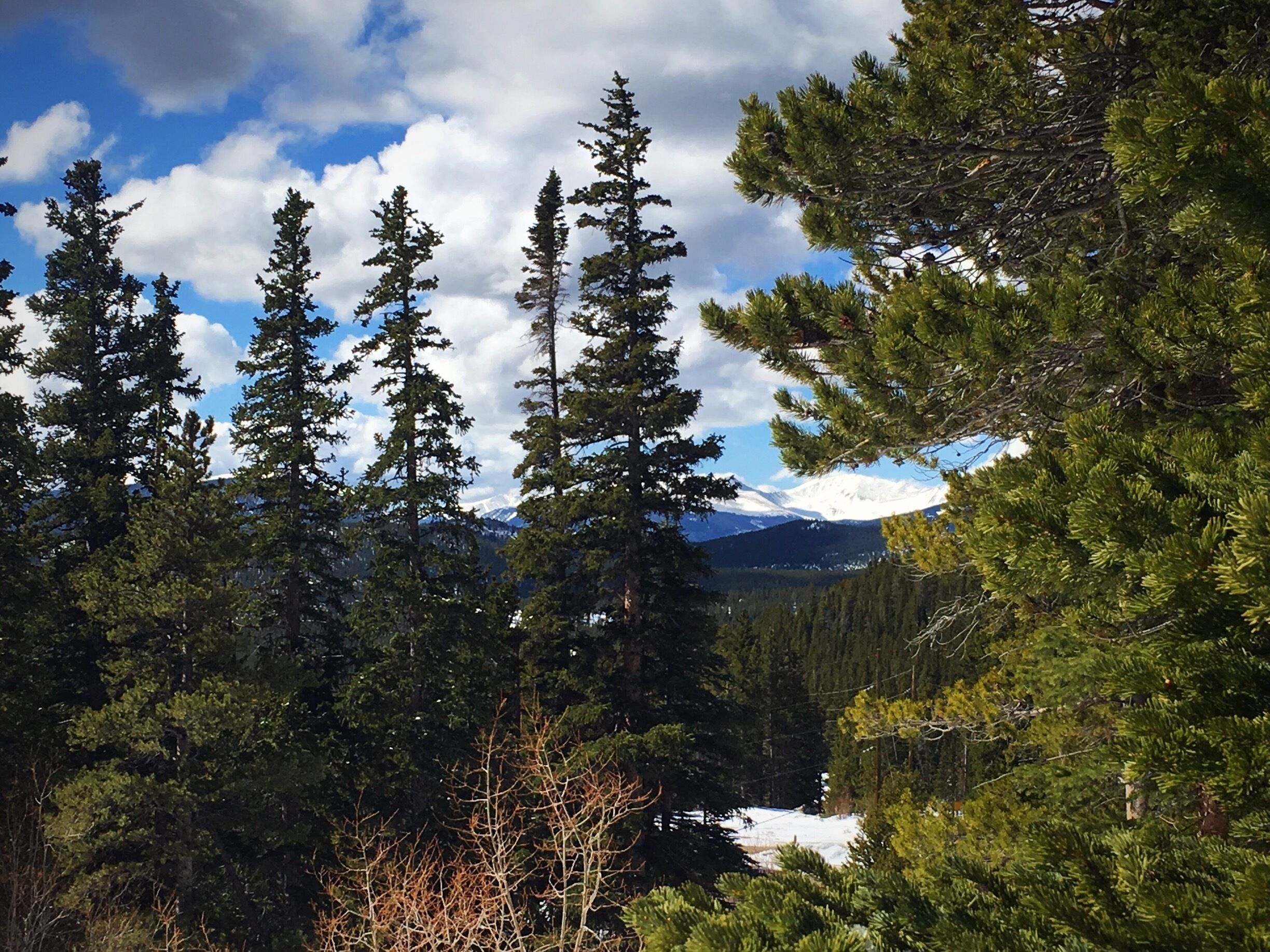 Trail heading up to St Mary's Glacier #hiking