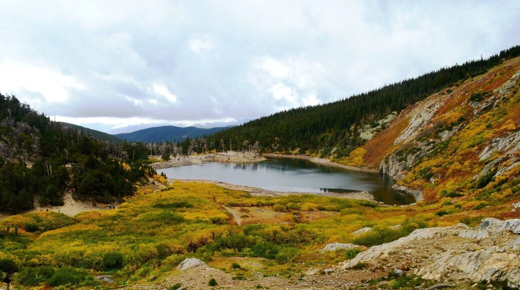 Fall color in CO. The weather turned so quickly it started to hail a little at the top but the view was worth it!
#fall #nature #outdoor #colorado #hiking