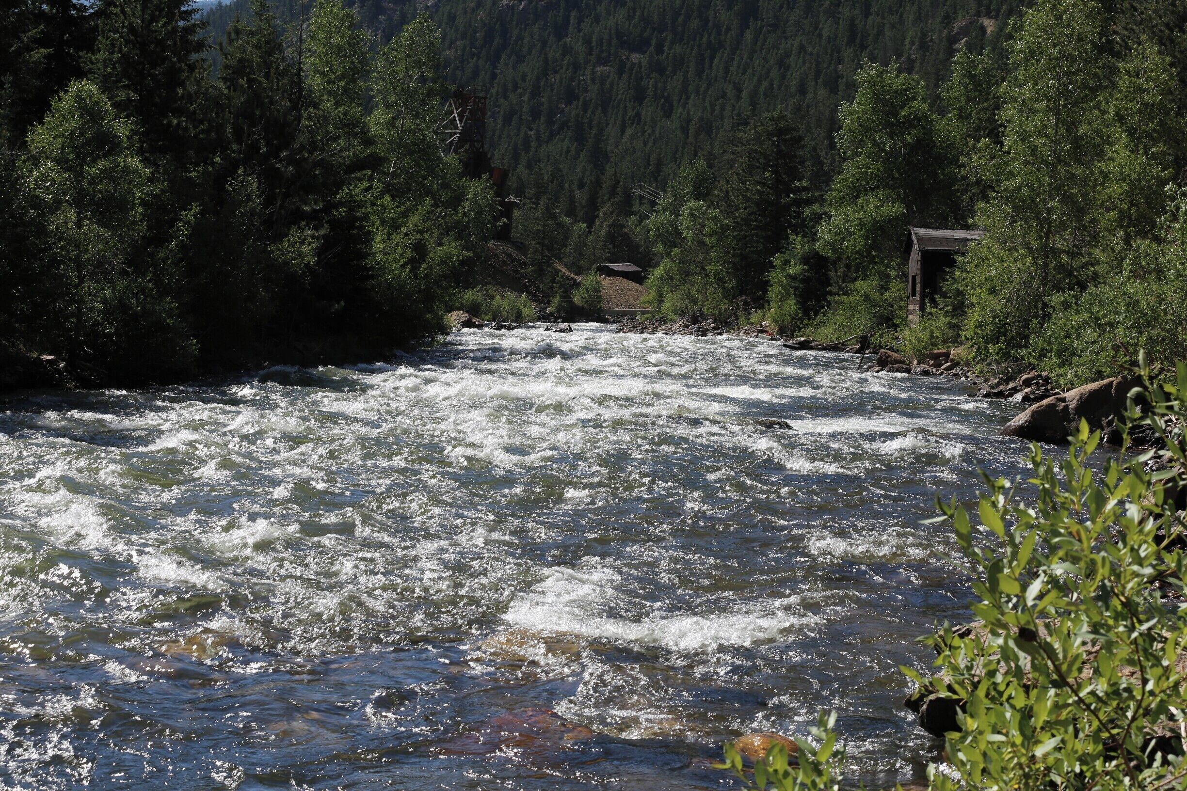 Clear Creek, Idaho Springs, CO.  Group of friends went white water rafting and I took pics. While waiting for them got some pics of beautiful scenery.