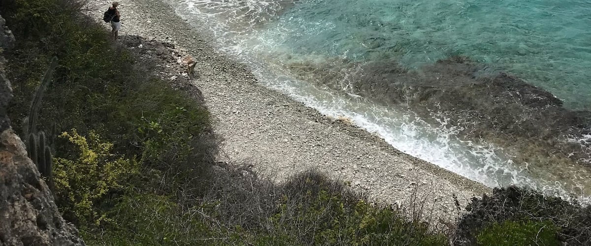 A coastal landscape with clear turquoise waters, rocky shoreline, and a distant ship on the horizon.
