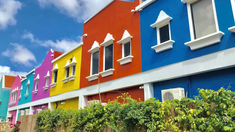 They love their colors on the houses here in #Bonaire
#Perspectives #NetherlandsAntilles